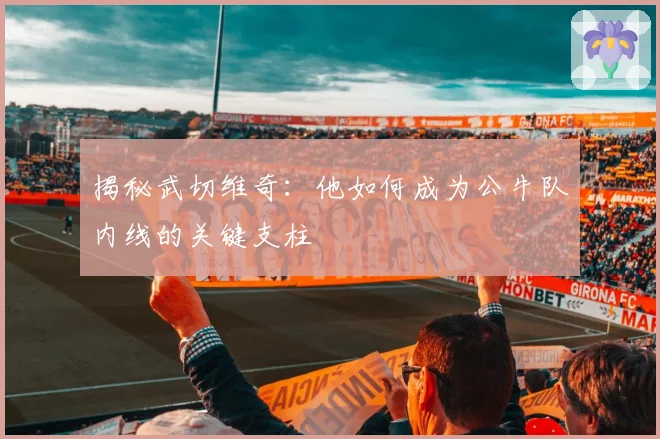 揭秘武切维奇：他如何成为公牛队内线的关键支柱