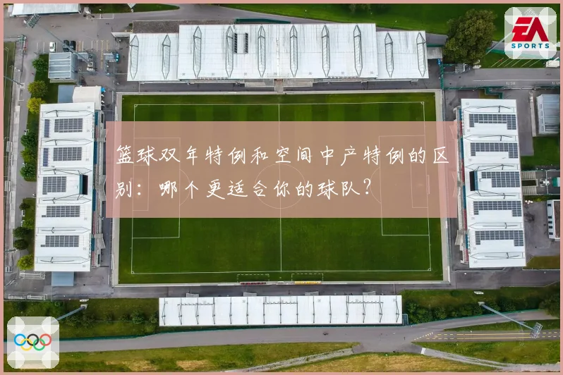 篮球双年特例和空间中产特例的区别:哪个更适合你的球队?