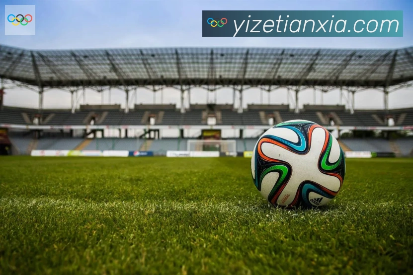 开云kaiyun网页版发展历程