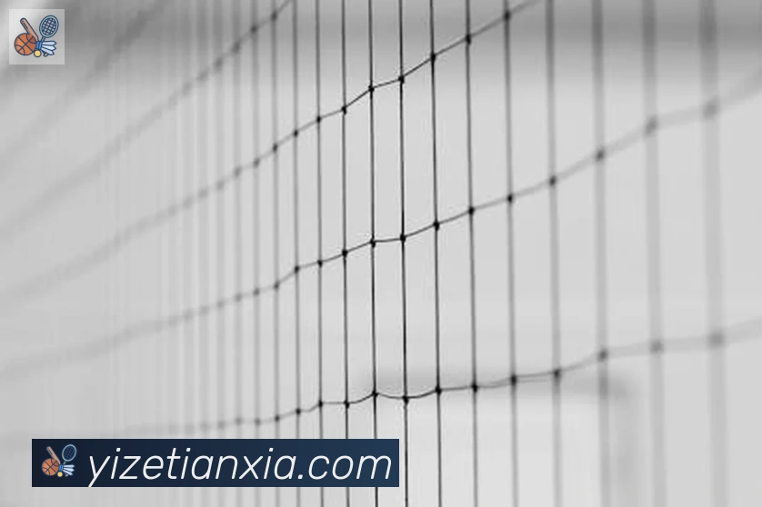 开云kaiyun网页版服务体系