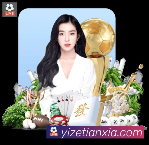 未来规划