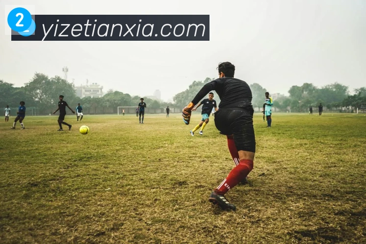 开云kaiyun网页版荣誉