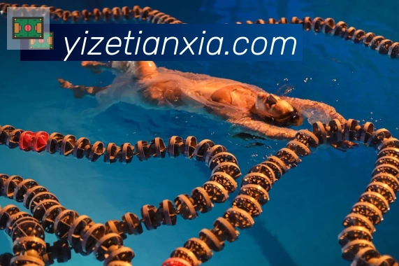 开云kaiyun网页版荣誉